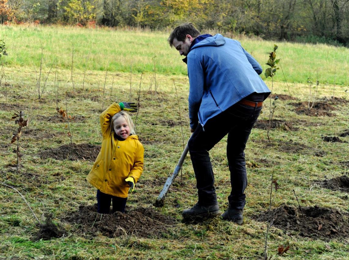 Aanplant van nieuwe stukken bos aan Veugeleer Aanplant van nieuwe stukken bos aan Veugeleer