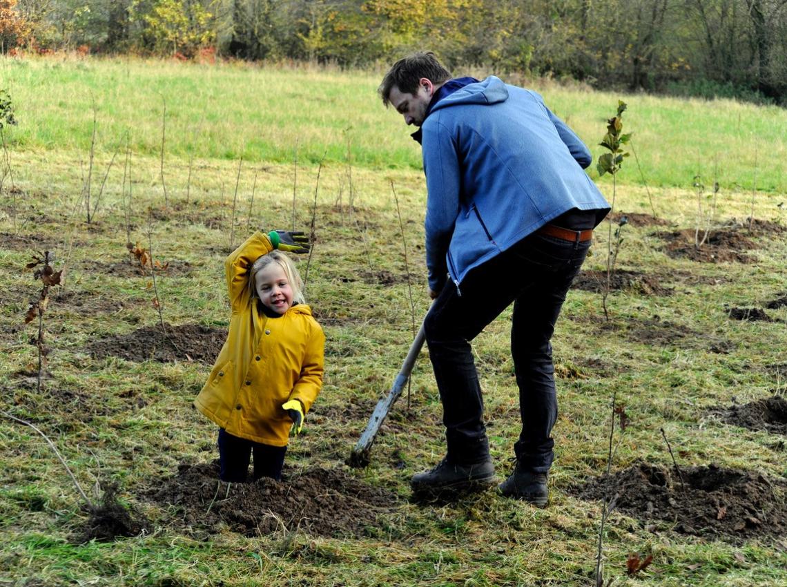 Aanplant van nieuwe stukken bos aan Veugeleer